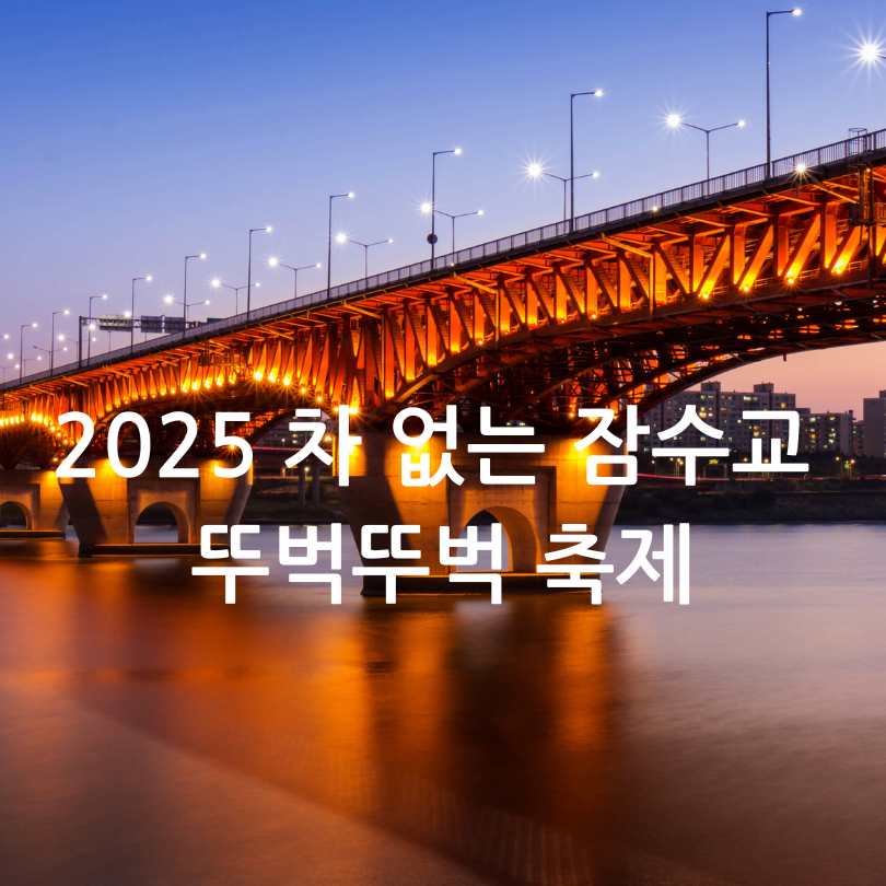 한강 무소음 DJ파티