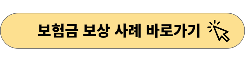 시민안전보험 보상사례