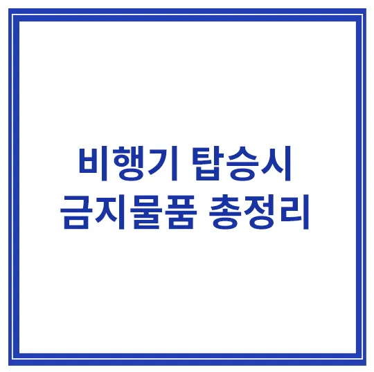 비행기-탑승시-금지물품