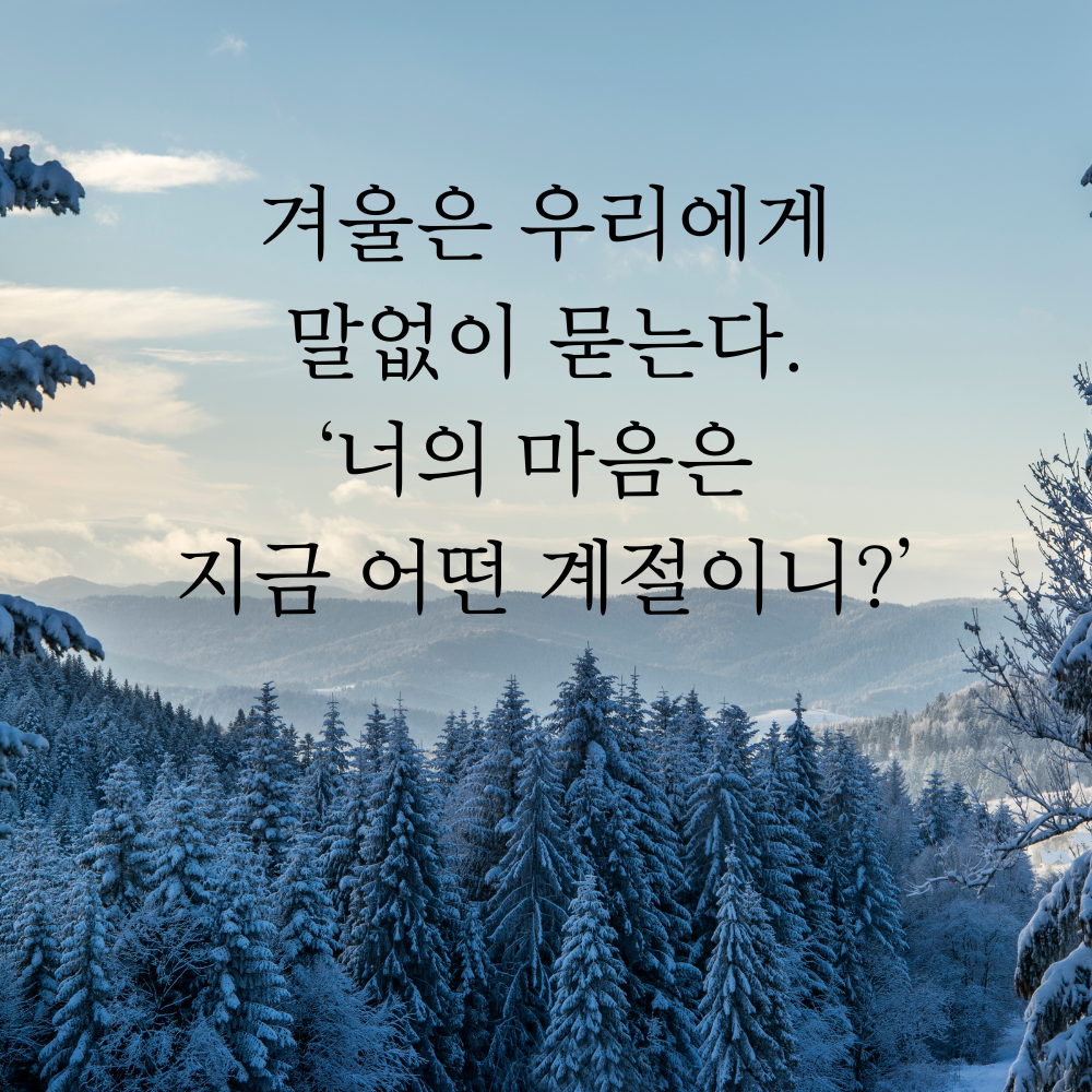 겨울 좋은 글귀 겨울 명언 문구 이미지