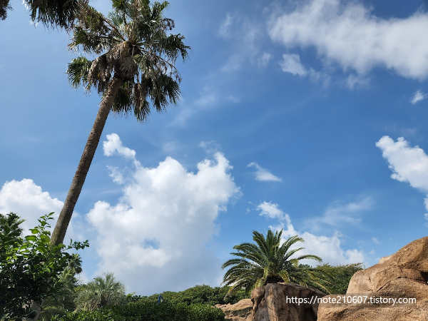 여름 휴가 제주 롯데호텔에서
