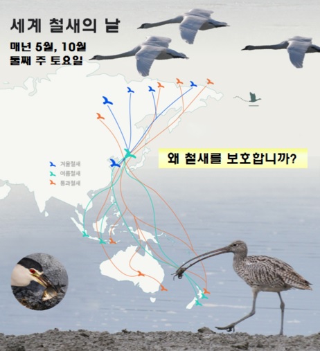 세계 철새의 날