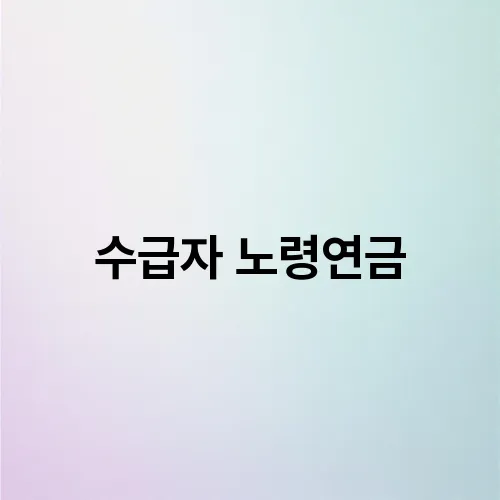 수급자 노령연금
