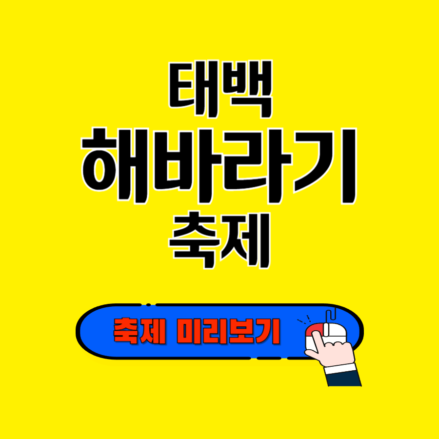 태백 해바라기축제