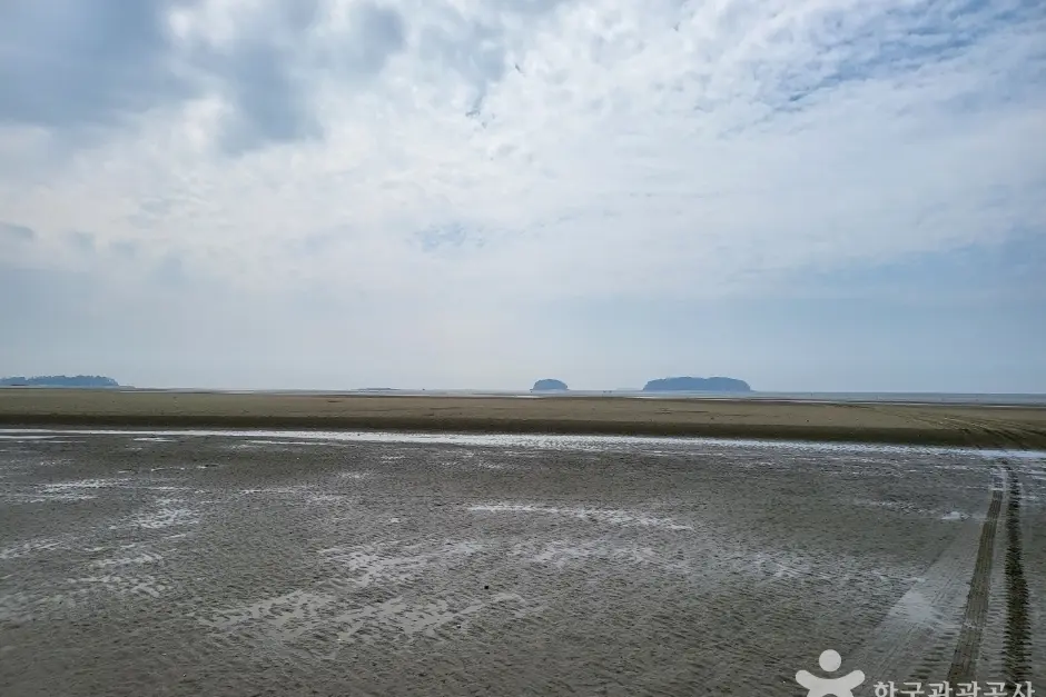갯벌