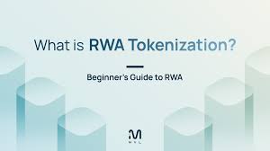RWA 토큰, 정부 채권 연동 코인 등장