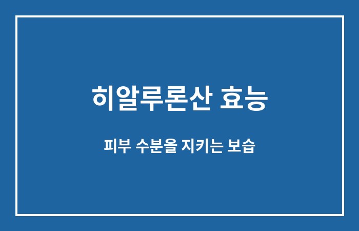 히알루론산 효능