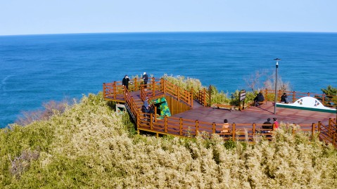 삼척 가볼만한곳