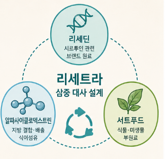 리세트라-내돈내산-효과-후기-부작용-성분-복용법-구매방법