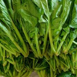 6시 내고향 여수 돌게장 꽃게장 갓김치 맛집 어부밥상 위치 메뉴 가격 택배 주문방법12