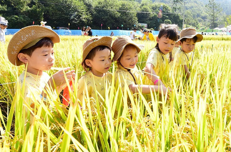 제12회 완주와일드&로컬푸드축제 특징