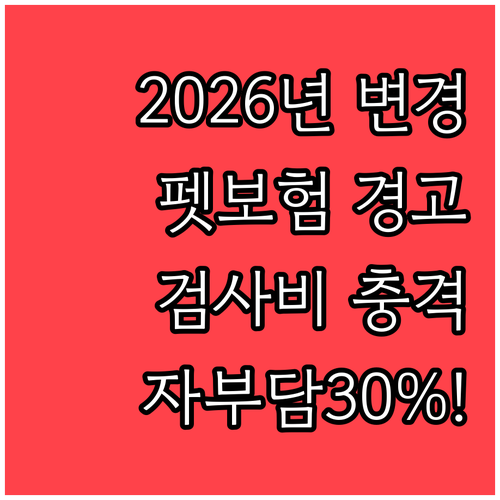 2026년 바뀐 펫보험, 검사비 자기..