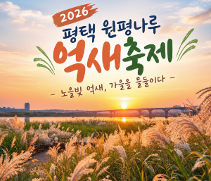 평택 원평나루 억새축제, 10월 가을 나들이로 가볼 만한 곳