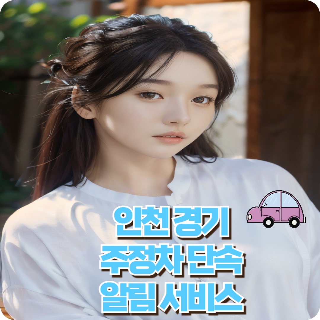 인천경기주정차서비스