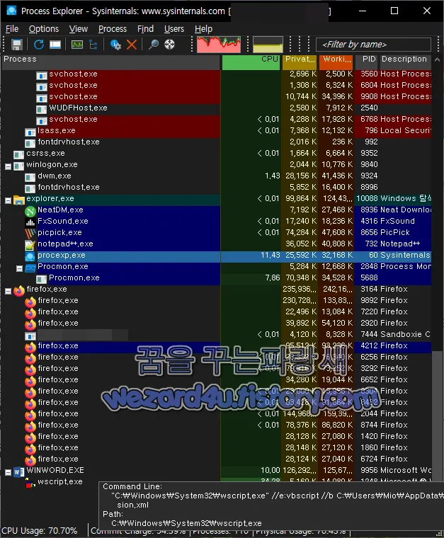 ProcessExplorer 로 악성코드 실행