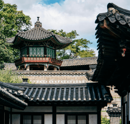 창덕궁 달빛