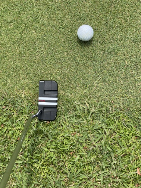 캘러웨이-오딧세이-아이트랙스-퍼터를-골프-그린-위에서-바라본-모습