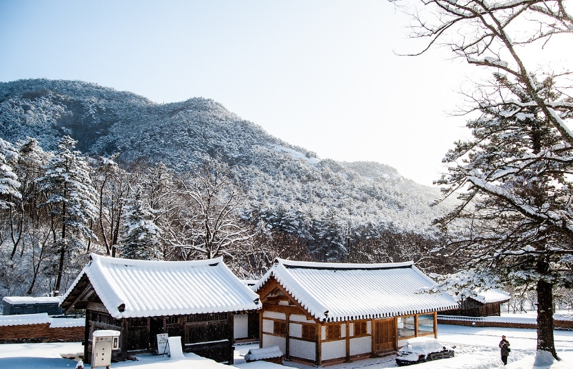 기도문(나라를 위한 기도)