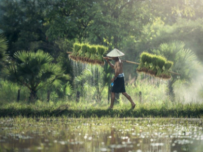농업인 경영체등록
