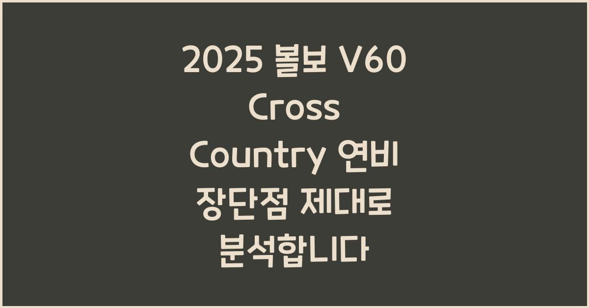 2025 볼보 V60 Cross Country 연비 장단점