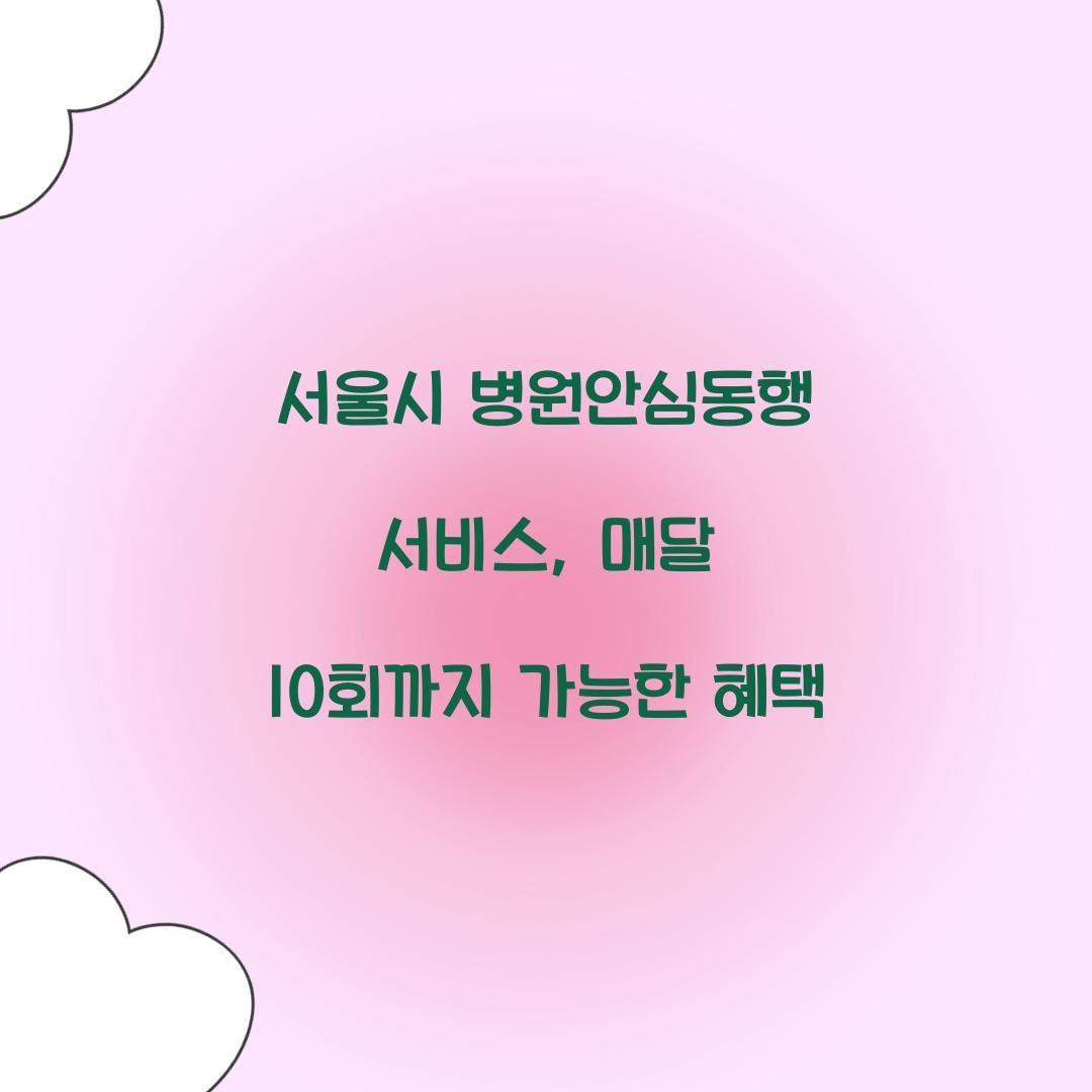 서울시 병원안심동행 서비스