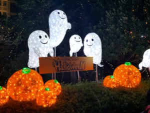 할로윈데이 전통 행사