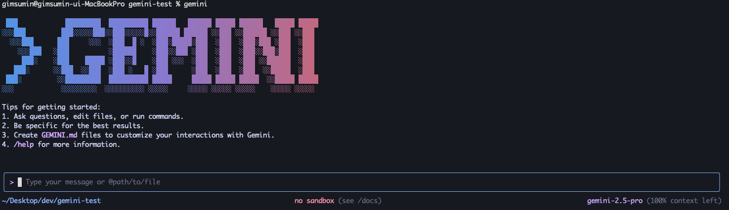 gemini-test 디렉토리 이동 후 gemini 명령어 입력한 화면