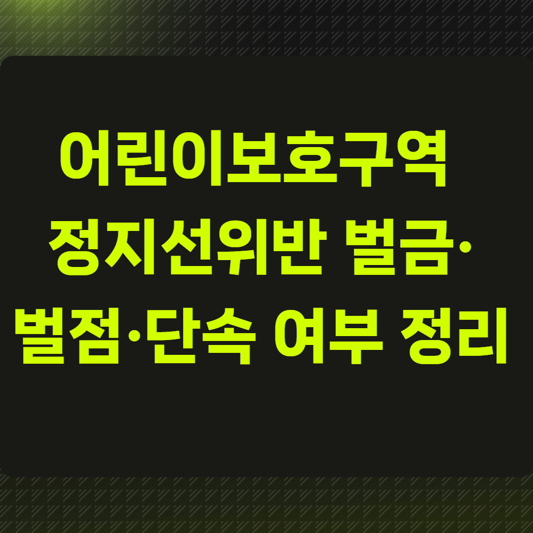 어린이보호구역 정지선위반 벌금·벌점·단속 여부 총정리