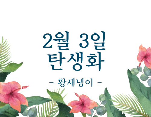 2월 3일 탄생화 황새냉이의 의미와 전설