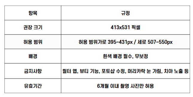 정부24 여권 재발급용 사진 규격|권장 413x531px, 배경 흰색 필수, 6개월 이내 촬영, 포토샵·필터·치아노출 금지 등 반려 방지 조건