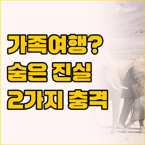 가족 여행에 최적일까 컴포트 인과 퀄..