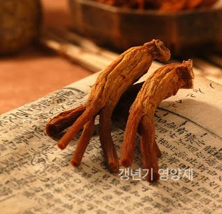 갱년기 영양제 추천 홍삼