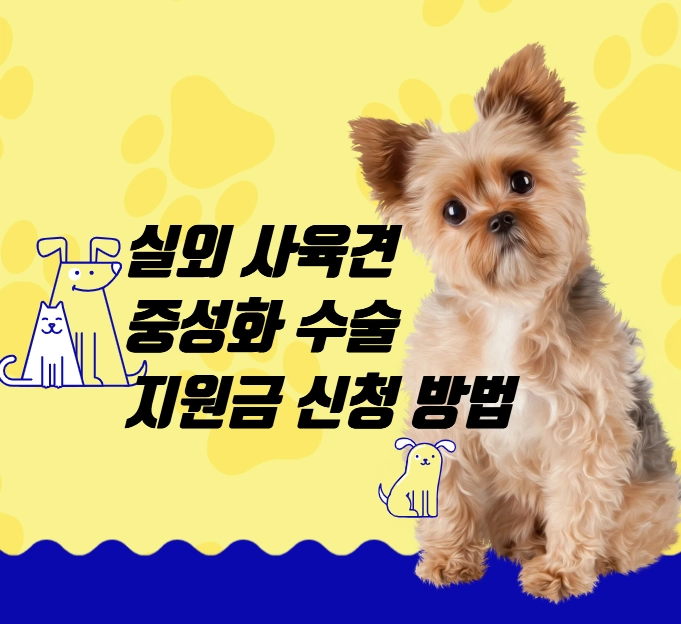 실외 사육견 중성화 수술 지원금 신청 방법 (마리당 40만원 수준 지원)