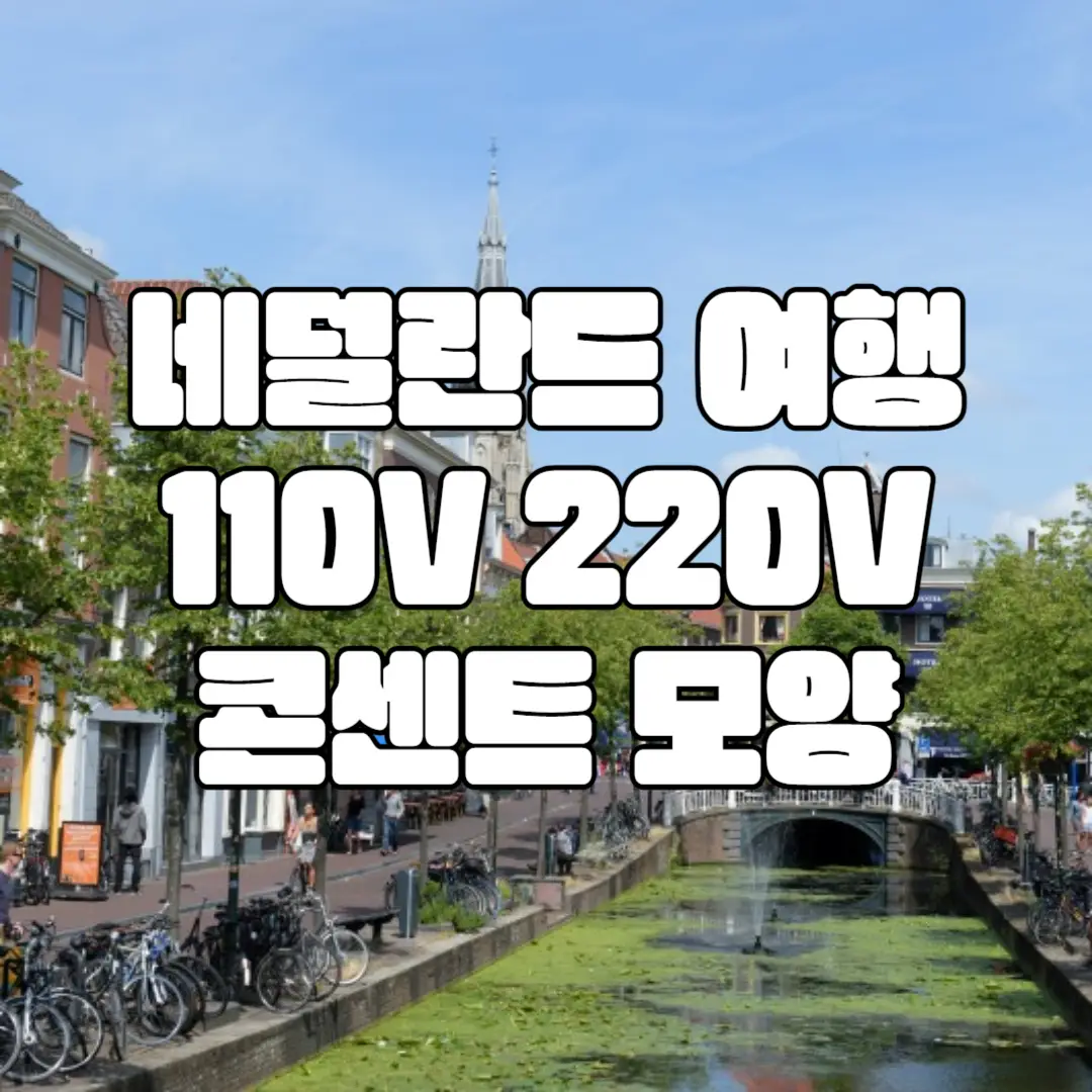 네덜란드 여행-110V? 220V? 변압기