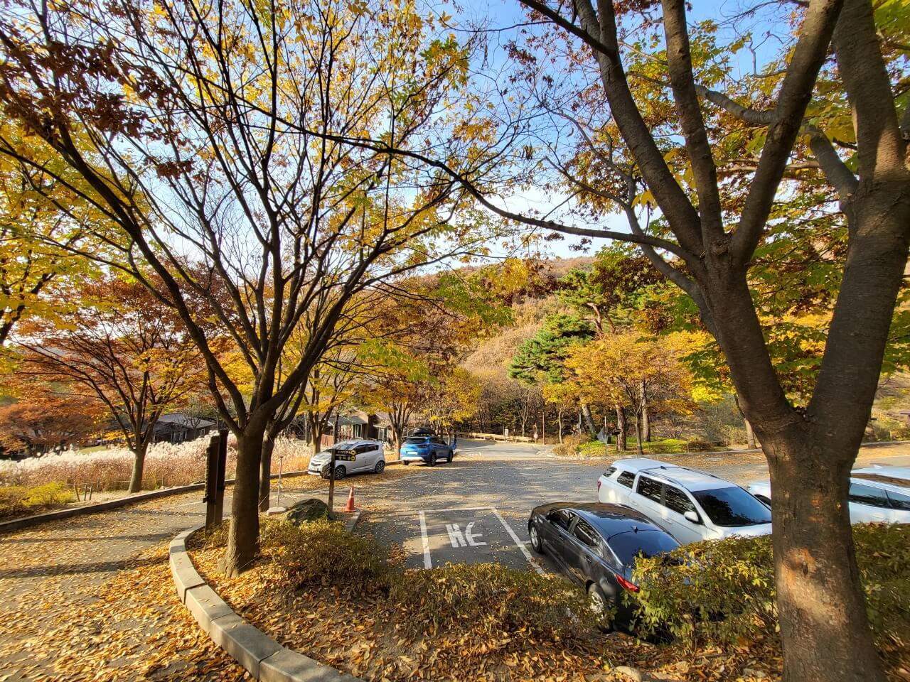 용인자연휴양림 풍경