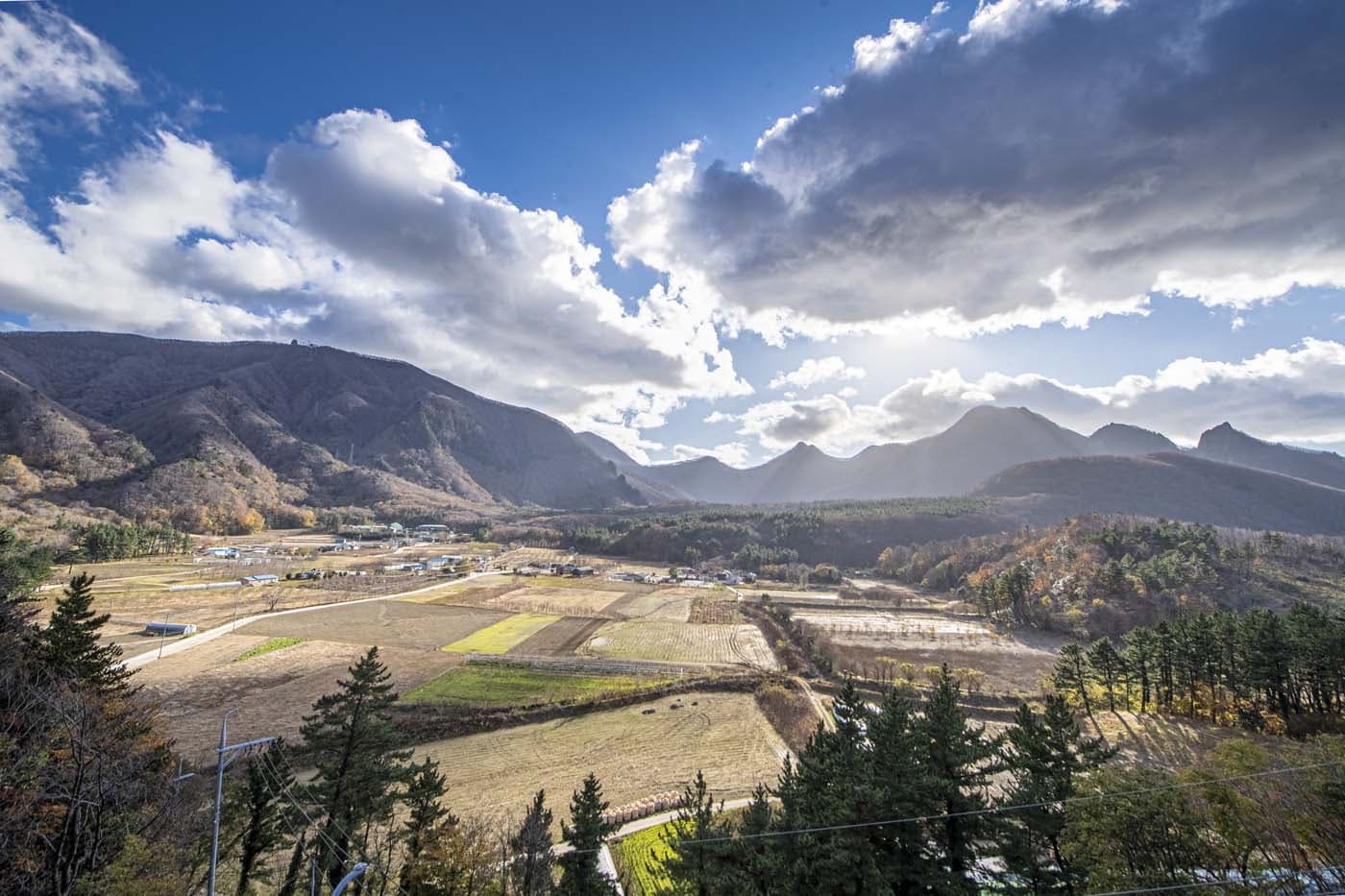 울릉도 나리분지