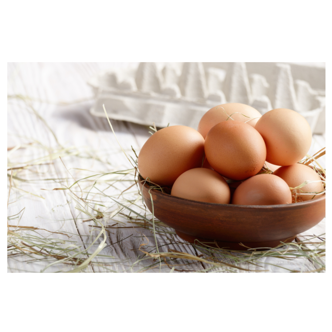 용종과 관련된 사진입니다.