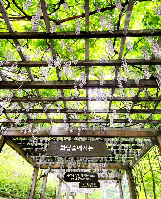 화담숲