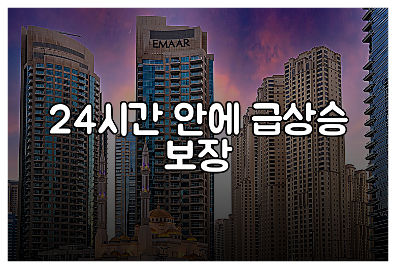 24시간 안에 급상승 보장