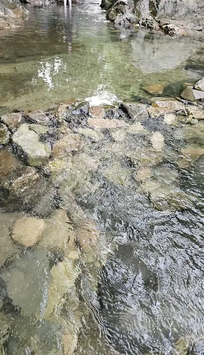 담양 물놀이 하기 좋은 계곡