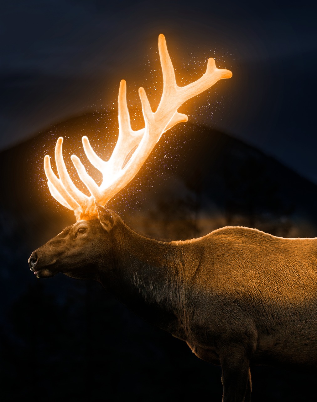 빛나는 뿔을 가진 사슴 이미지