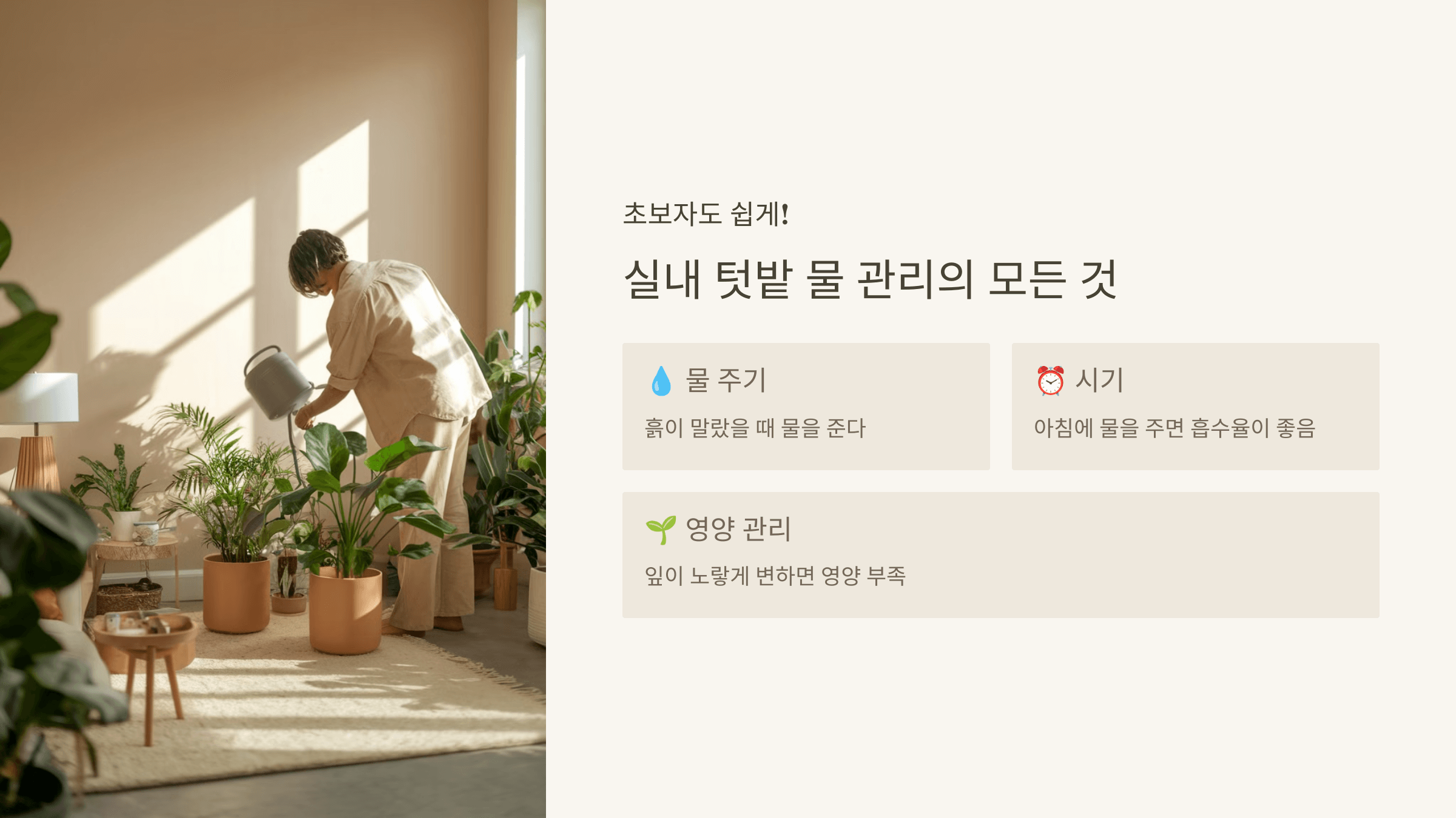 실내 텃밭 물 주기 & 관리법