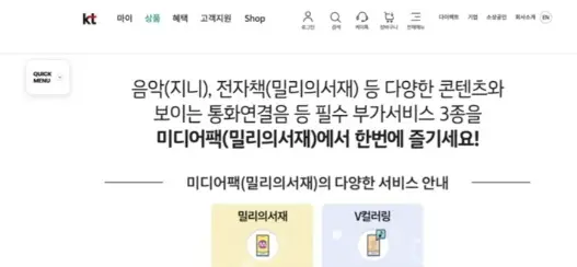 KT포인트예시