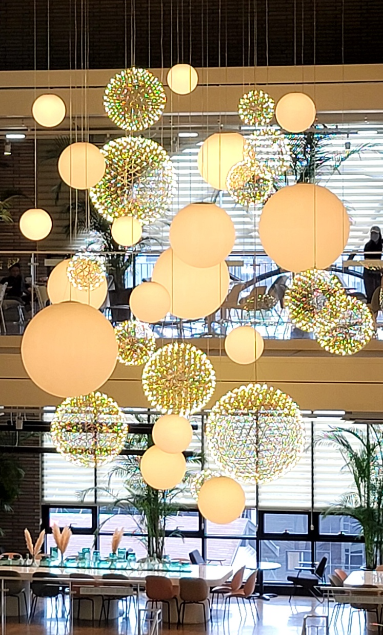 포레스트 아우팅스7