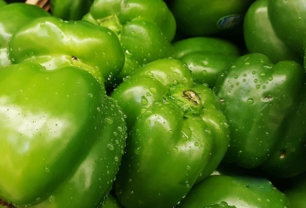 신장병에 좋은 음식 피망