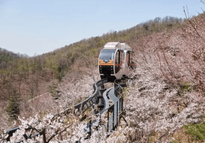 화담숲-모노레일-예약