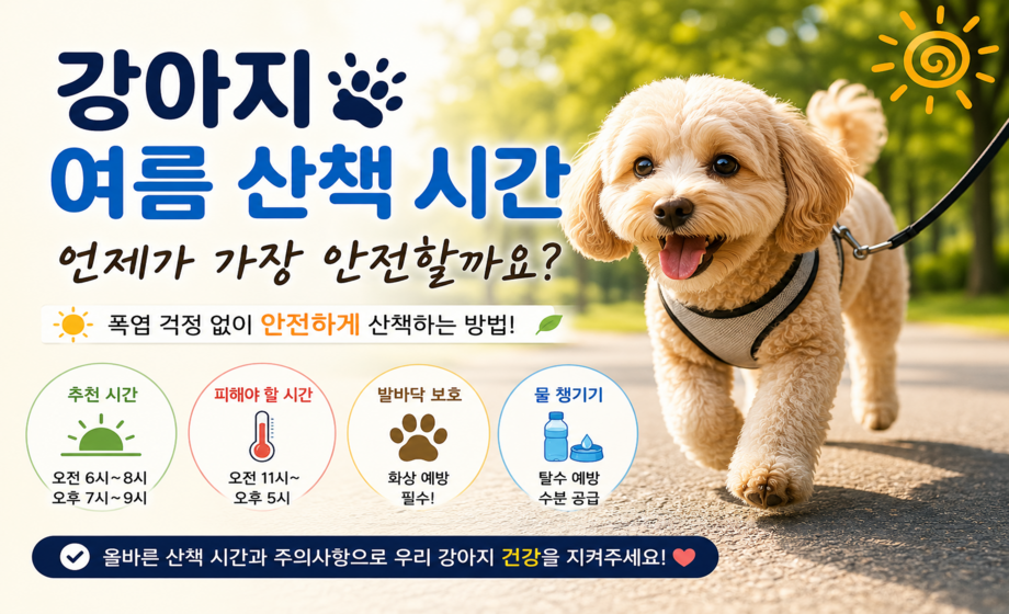 강아지 여름 산책 시간 총정리 대표 이미지