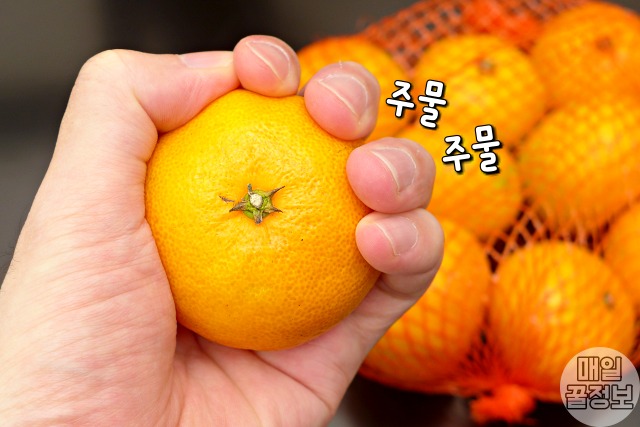 신 귤 맛있게하는법,신 귤 달게 먹는법,귤 주무르기