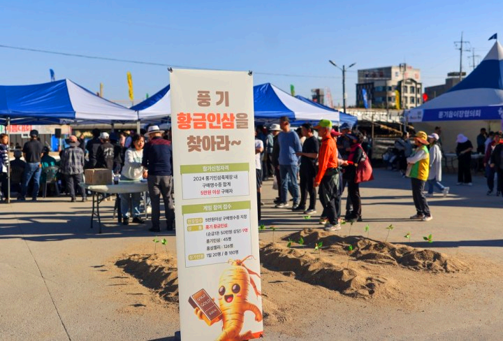 풍기인삼축제