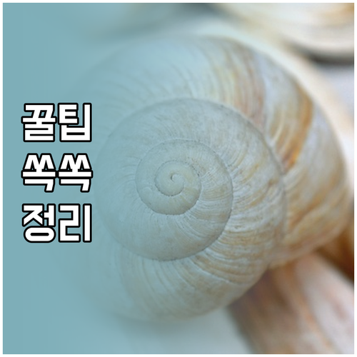 퇴사 후 재취업 성공 전략: 실업급여..